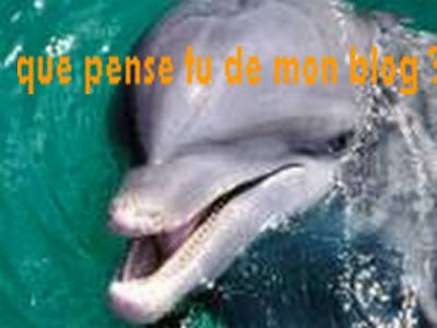 que pensez vous de mon blog