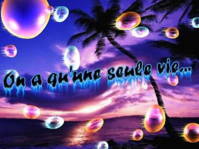 une vie