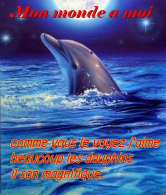 les dauphins